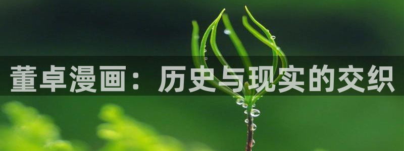 歪歪漫画土豪漫画：董卓漫画：历史与现实的交织